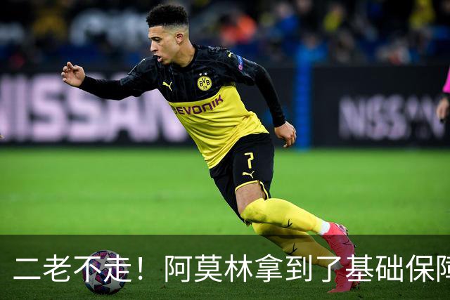 二老不走！阿莫林拿到了基础保障，魔笛继续打拼拉比奥特辅佐